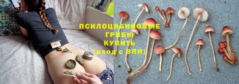 магазин продажи   Балтийск  Псилоцибиновые грибы MAGIC MUSHROOMS 